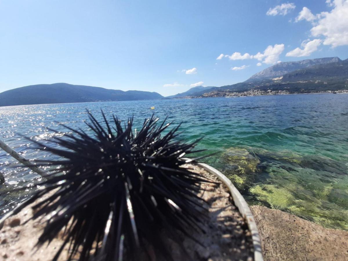 Casa De Laza Apartments Herceg Novi Exteriér fotografie
